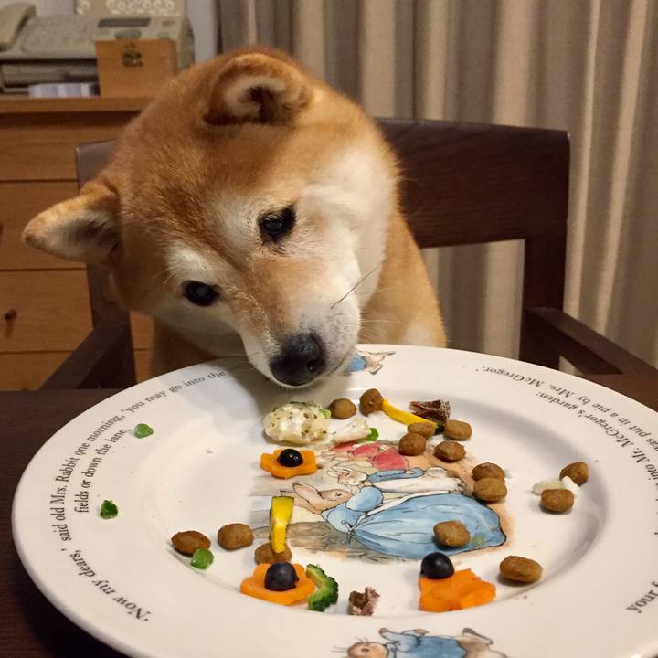 F2902eb9 0b83 430b b4f1 1ef6fdda19fe 1566646358035