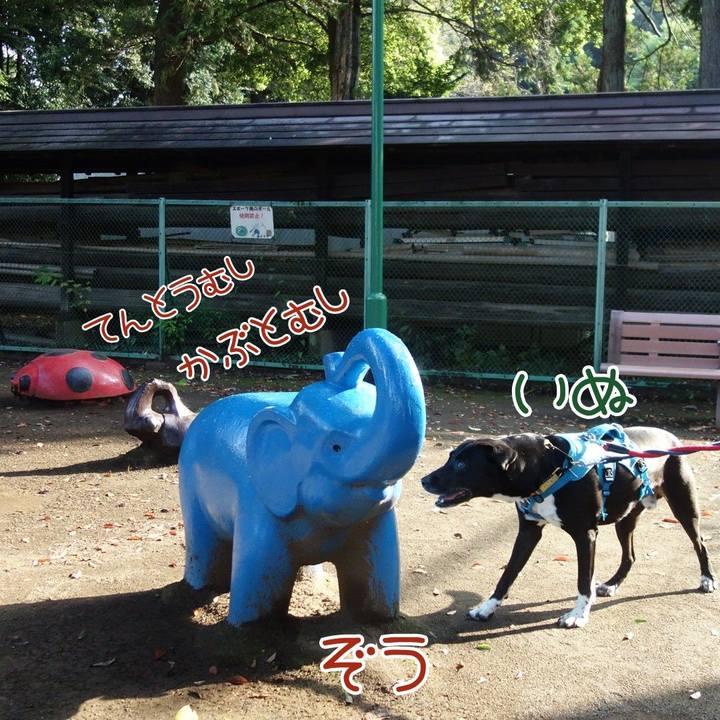 F29030de 29da 40ad a0a3 aff090aa8a8e 1632357597065