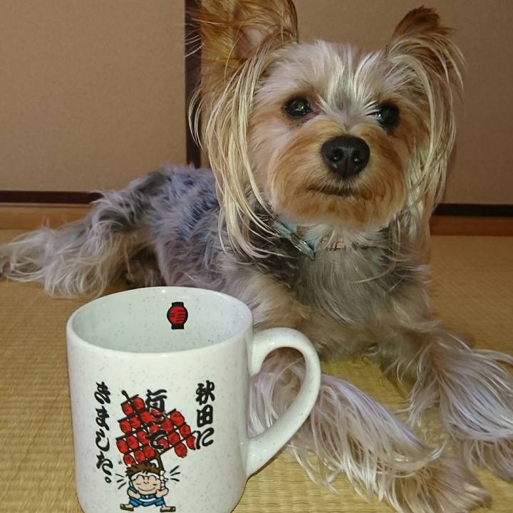 F29061a5 12e3 4ef5 ab31 0d1ea1f5423e 1534901598146