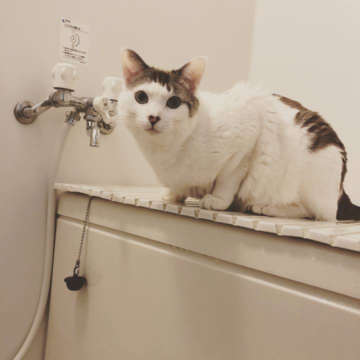 F2906380 6c97 4bdd 88c9 a9dde2df2e29 1584859846042