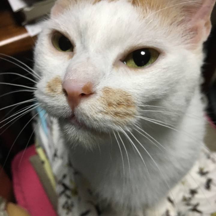 F2909a44 70be 4d60 af54 3da3fa3fdde0 1571574141756