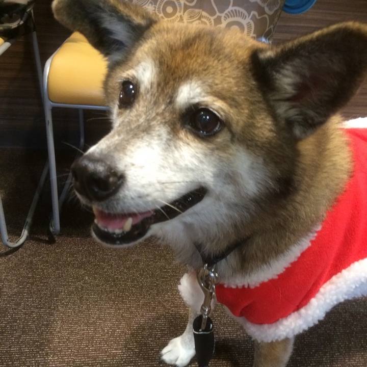 F290a8ba 1569 4d76 a5ce 353135e74542 1604420010010