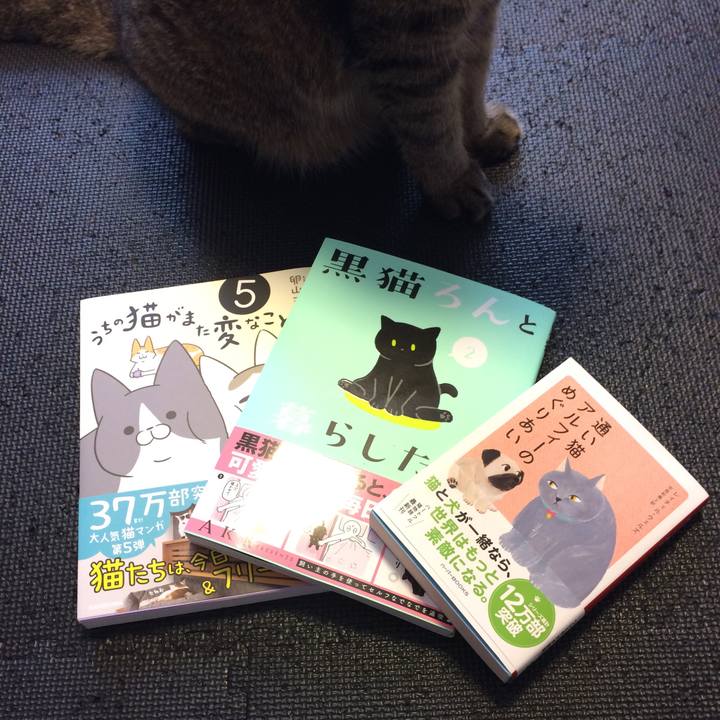 F290e648 c6e3 47dc 92e9 fe7432c0a0b9 1600497328612