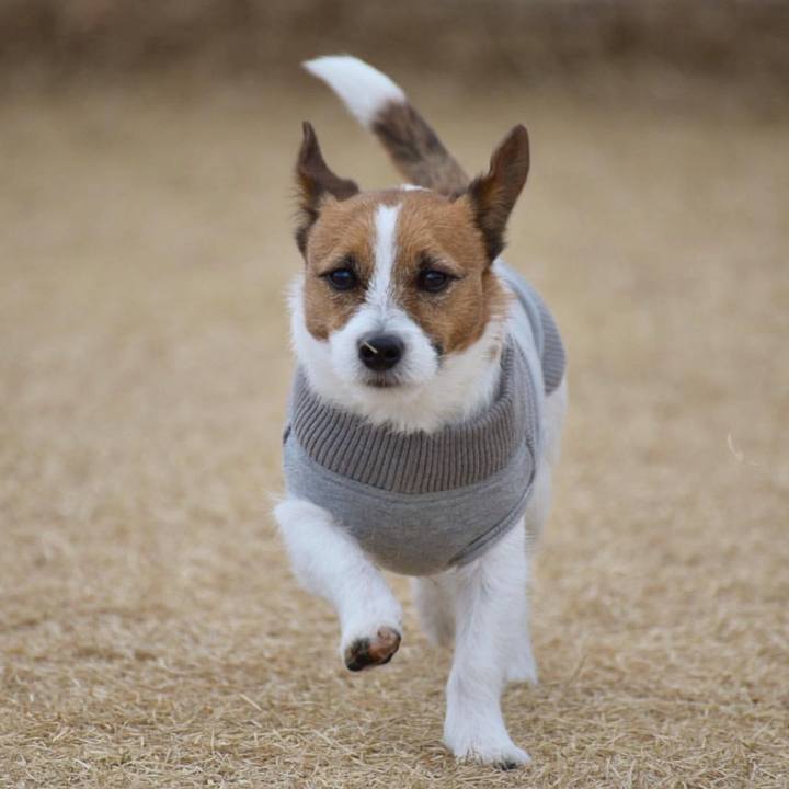 F29128c9 297c 45bc 9eb1 00233a050b6e 1546514885808