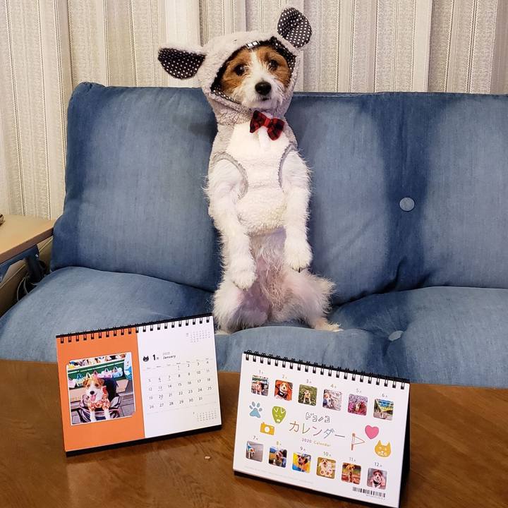 F291492d 3005 4328 bb3f 2b609608e572 1577714083398