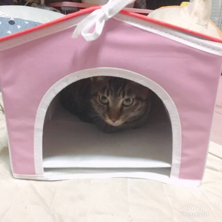 F29180d2 9bc9 4679 9aaf 2959b5255e0b 1545380685260