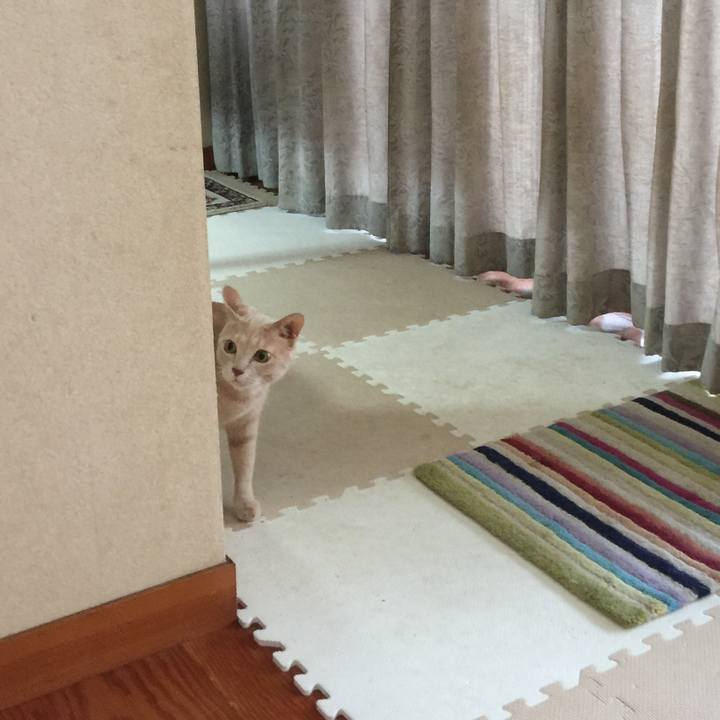 F291aefa 0d47 4425 86e9 b40de12498ed 1570357553565