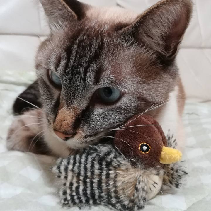 F291cd04 9f6a 47dd a72f 618ac2db0e76 1569070126505