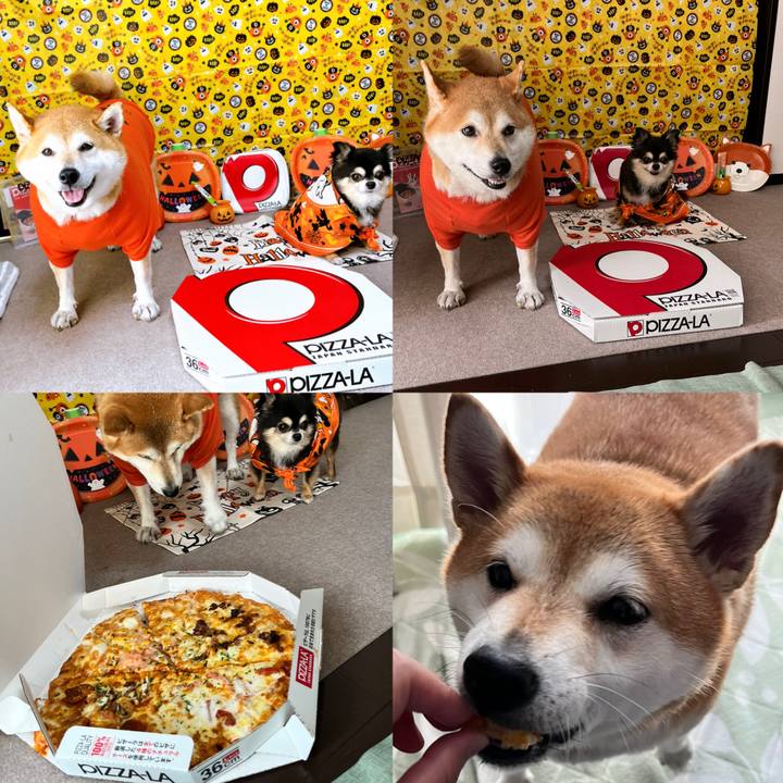 F291db86 c909 4982 9c23 c6daddc1a4eb 1664163399207