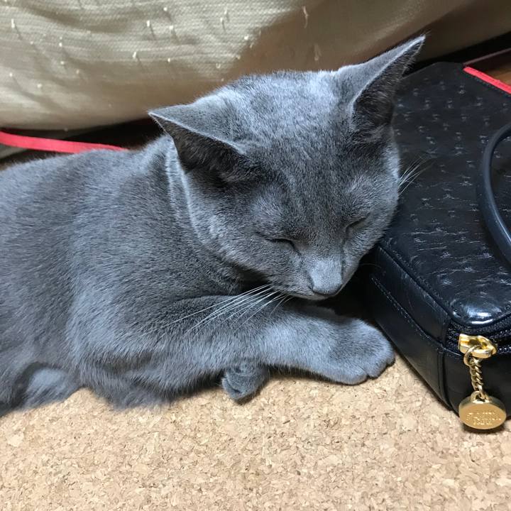 F291dc38 03ba 45a6 8c11 af1f27c16353 1528687649107