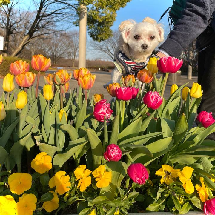 F291f859 893f 4d6e 8aaa b3240b2385a2 1645769059266