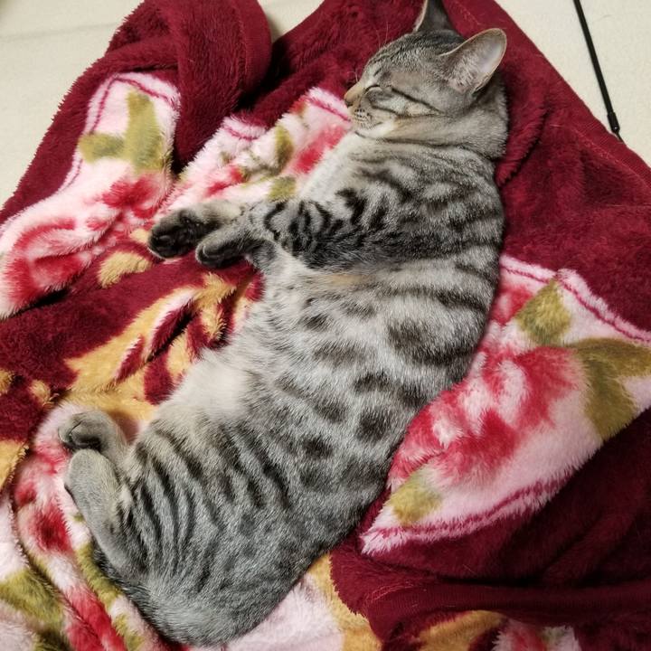 F29214a4 b53f 4989 a000 86e297a870dd 1674210078710