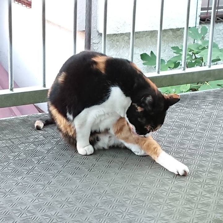 F2921cb2 c446 4881 975d 18513cda877f 1604445346292