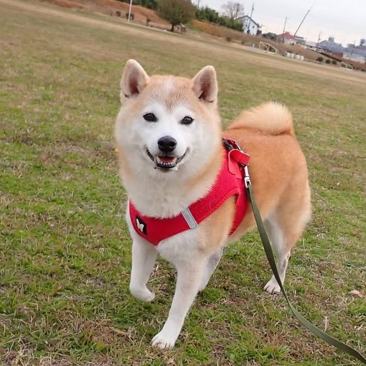 F2923d5a 4e7c 42c7 bd7a a92c4be97421 1735853398719