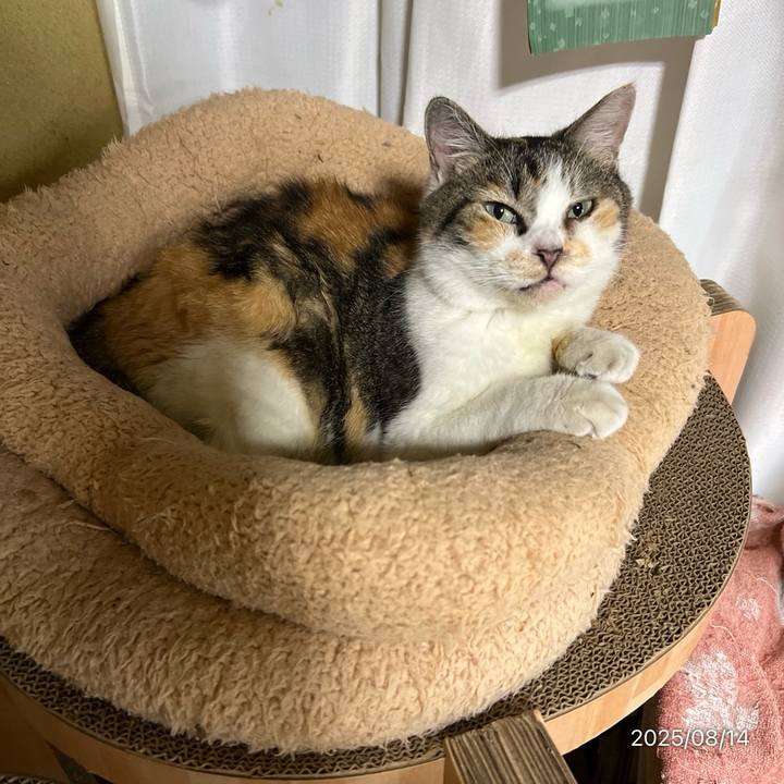 F292585a 7484 4e50 b2b0 94bd5b0666f1 1755122211163