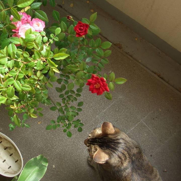 F2927832 d540 41d2 acd5 7768884064a8 1628907283916