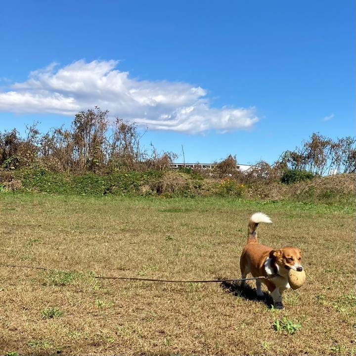 F292a908 a3bb 45d3 af67 2ef783120507 1634696840906