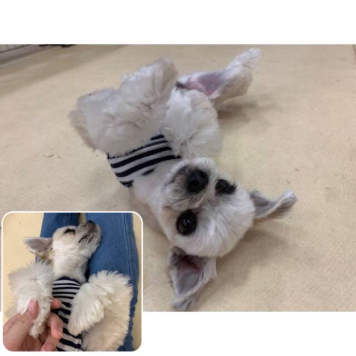 F292b156 51e9 4fd9 a817 130b8f107ed4 1555588531858