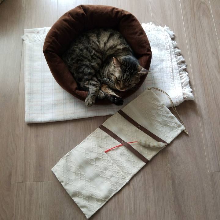 F292b5ac 5d3c 4dc6 a45c 46b99e363c31 1556943909637