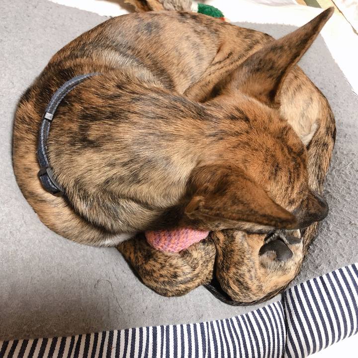 F292cade b08d 44e8 8a68 537cc6229c1b 1574172551416