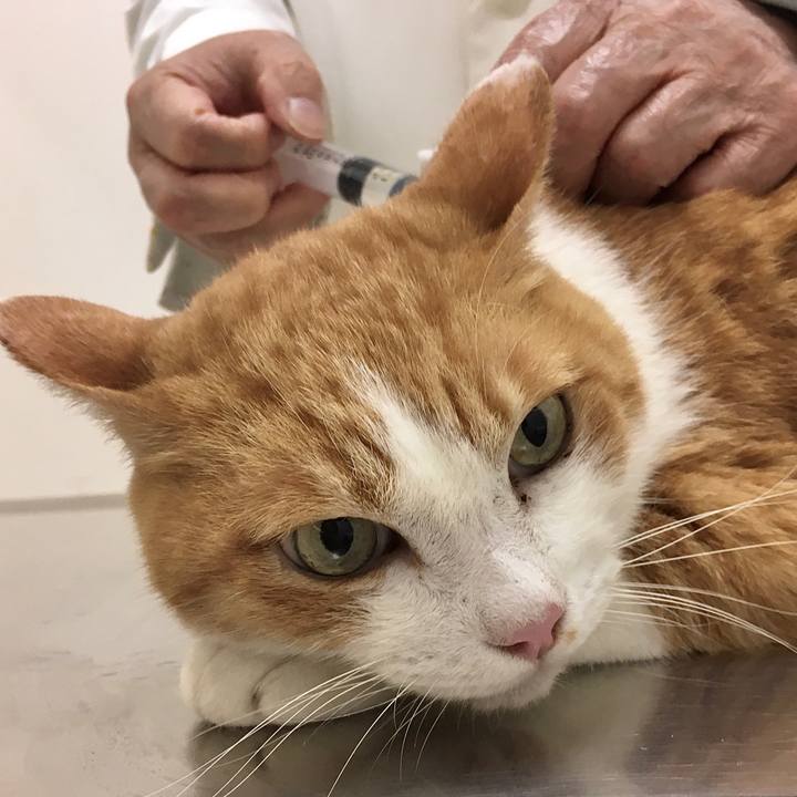 F292ea95 f68c 46a9 81c3 2aee44d5878a 1572608298549