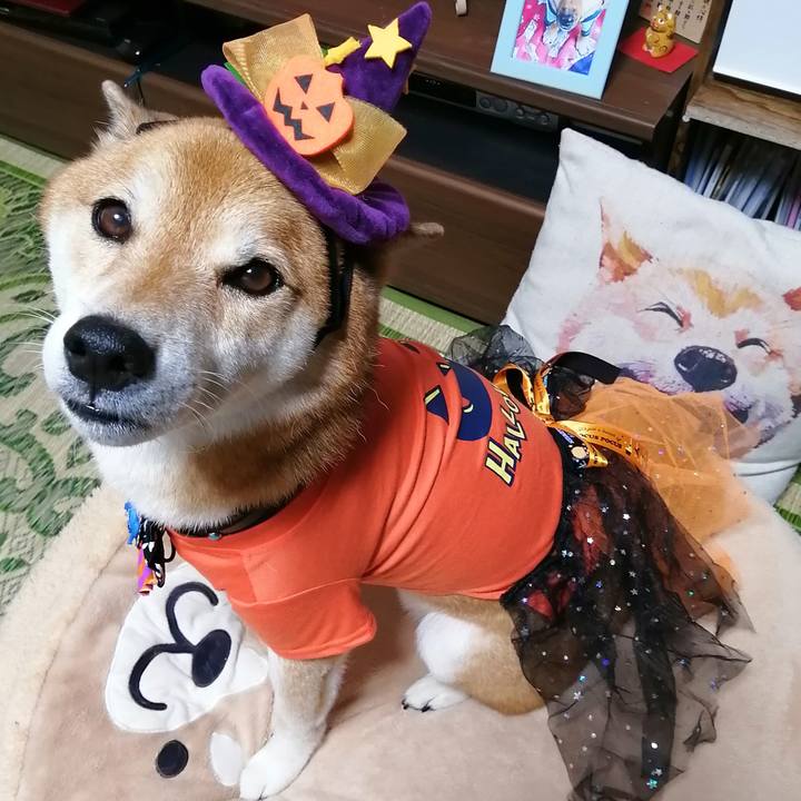 F2930e10 6661 4e17 871f ce8c98ca0e8e 1663488052705