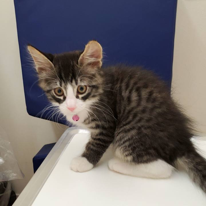 F293293b d52a 4518 a00c 5827ce9bd90b 1627871360998