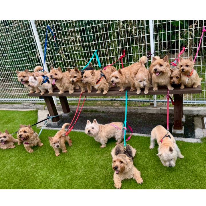 F2937596 ce4e 4a93 a765 97c243f90ccf 1759767641857