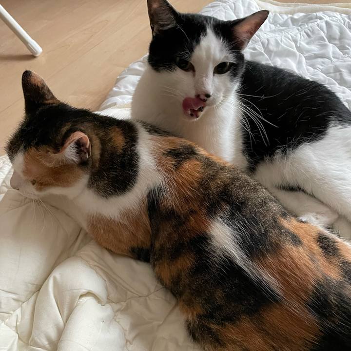 F2937d62 e24f 4528 bc2a eb7c6af84f21 1657405075934