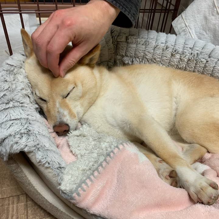 F2937fdd 9d18 42e4 b09b 456e43e1c754 1652705603867