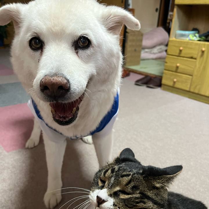 F29384cd 0132 42d0 b58c 5a7de4eb52e6 1759966082846