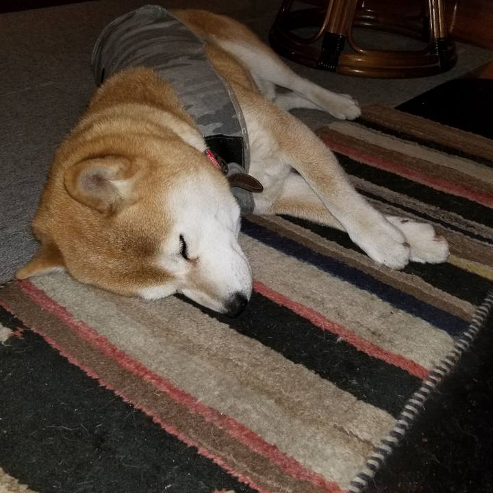 F293b18e 9ff8 4796 8198 d1d0ca20aecc 1616670802573