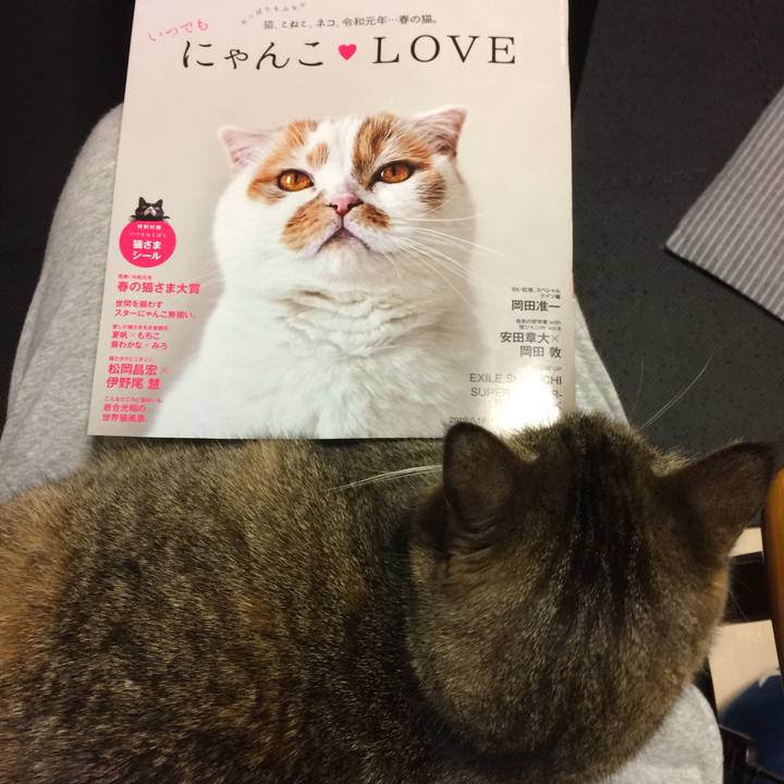 F293bbf0 e357 4c4d 96ee 537100f66ca5 1557413472032