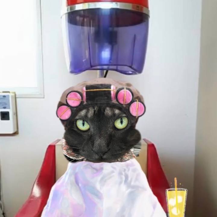 F2942d38 8521 4f08 ae43 14990f2e51ef 1769093887176