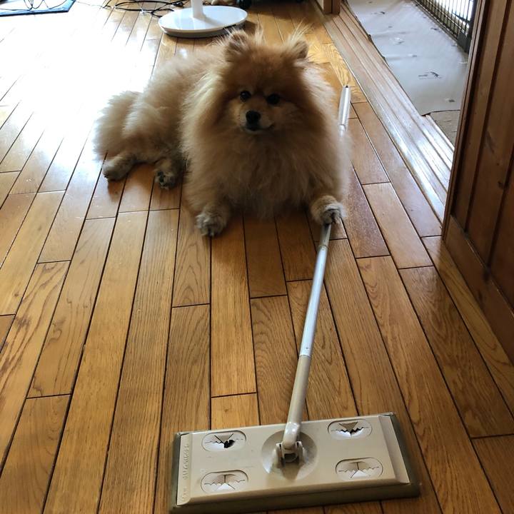 F2943861 9ddd 4df7 ada4 f405095a37d8 1559725879994