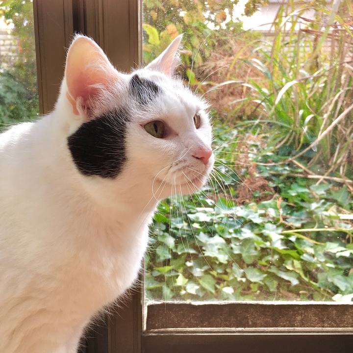 F294af15 b37c 4b39 8dcf d7b3694d29e7 1574140794957