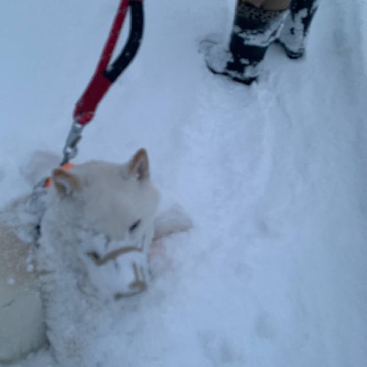 F294d3b3 69c7 4a38 a8e4 7655dc17edfd 1673304144494