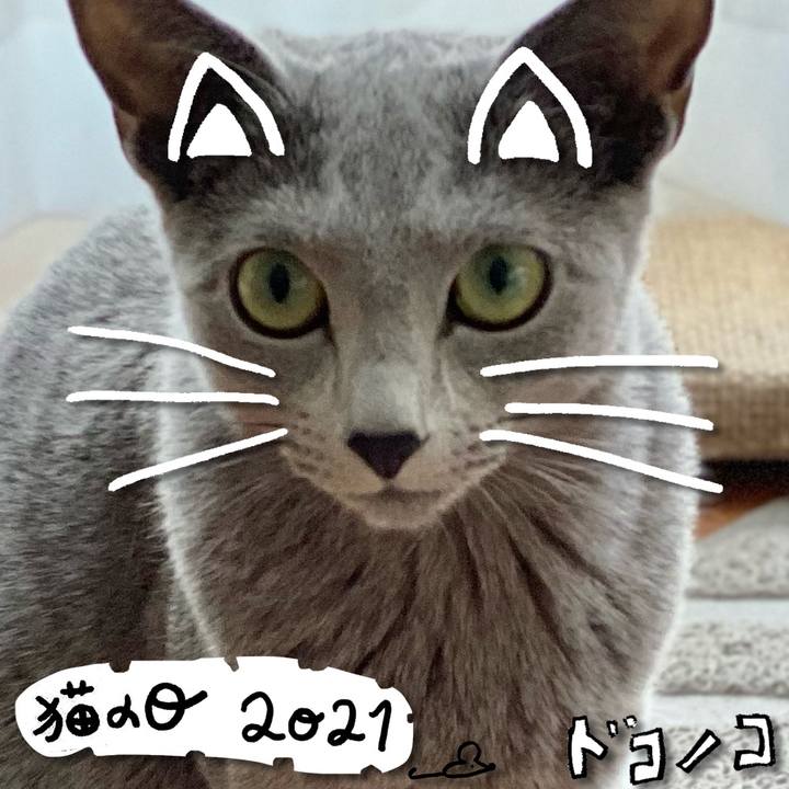 F294e58c f151 41bb 826d 6270ab12e3df 1613993886311