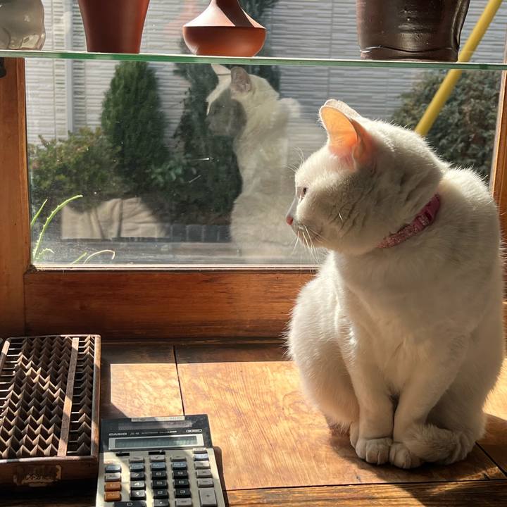 F294fd8e d2f0 4298 ac5d 6d4510d51c44 1771035183783