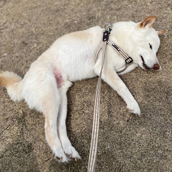 F295424c be7e 4a49 ba76 e2aa2a776585 1646998120689