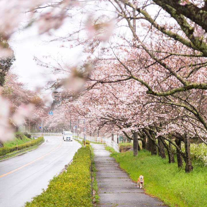 F29564ce df80 4b4e ac55 674771e5d1c5 1585888828074