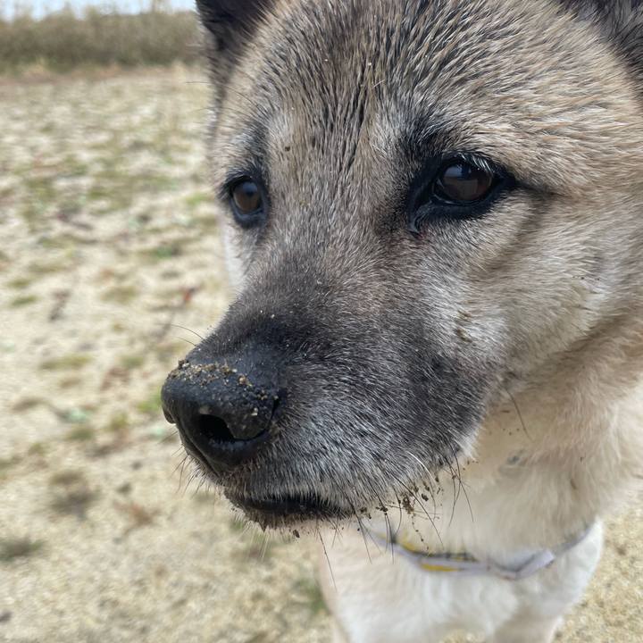 F2958a43 7209 4cee a599 d551a807b390 1706443463898