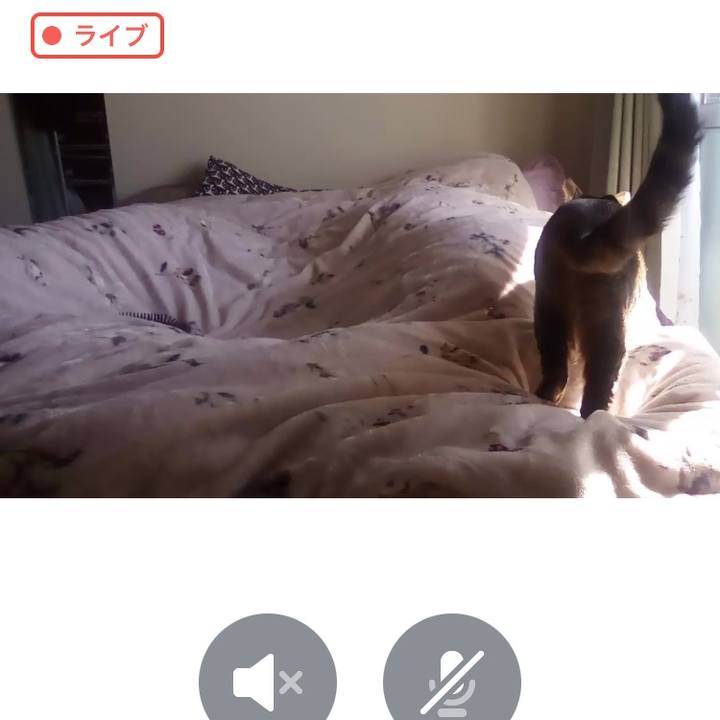 F295908a 9af5 42a1 b076 6a1ee03197b3 1676462358668