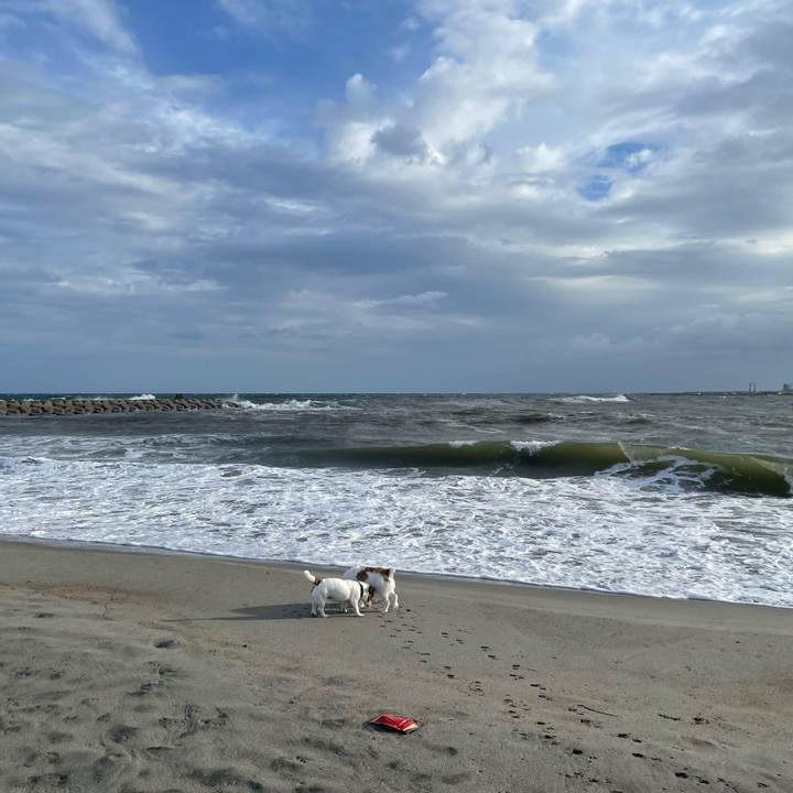 F2959894 5b40 47c4 a9e0 65ebc3824a78 1759709398308