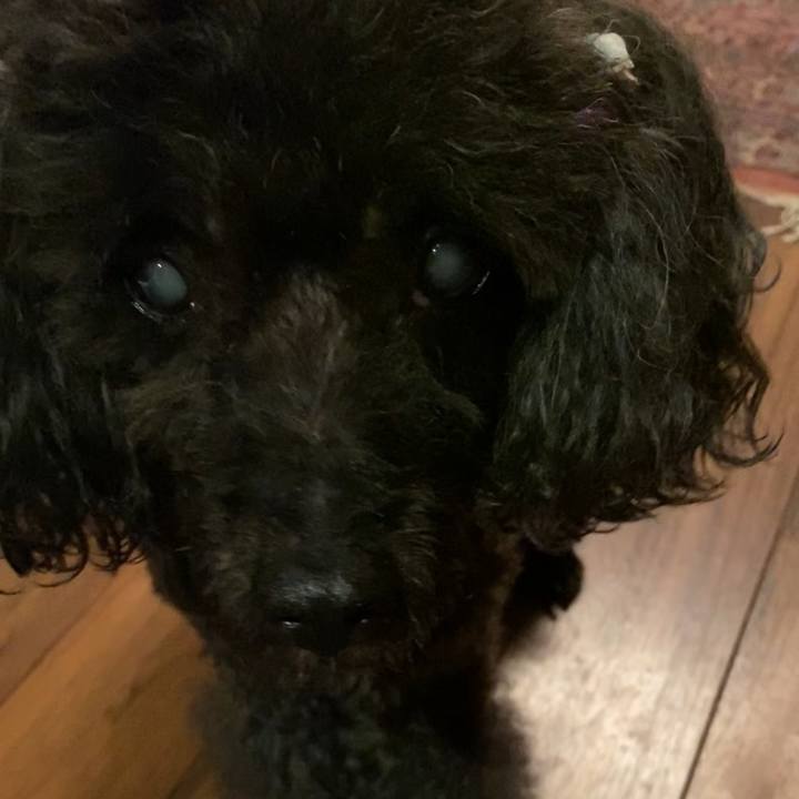 F29598f6 6619 44e4 8294 6a46b5f25789 1632628533247