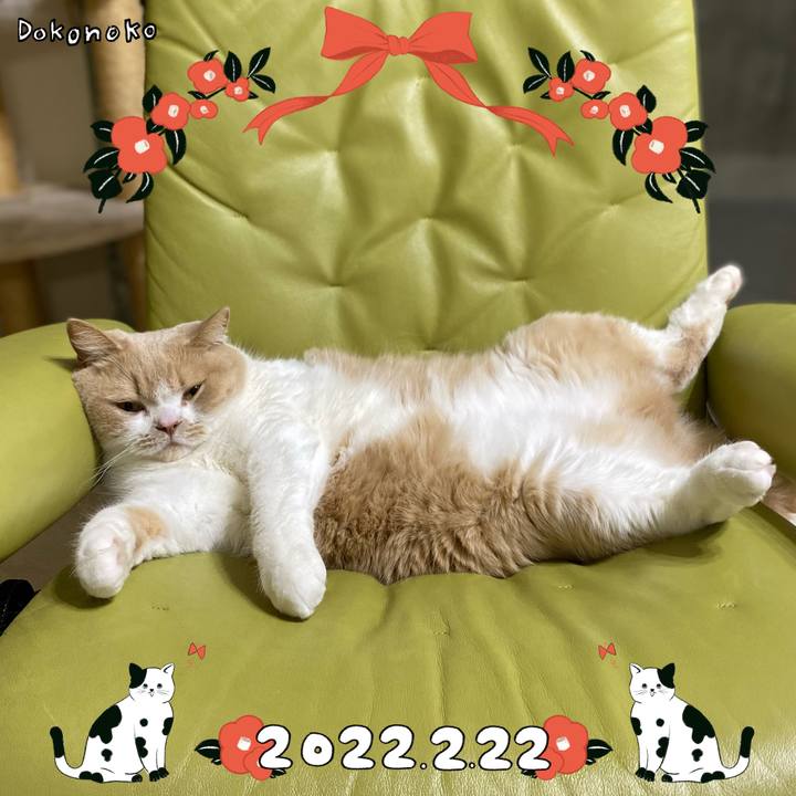 F295b7ea 123b 4b02 8f87 bbffd78d00eb 1645503588337