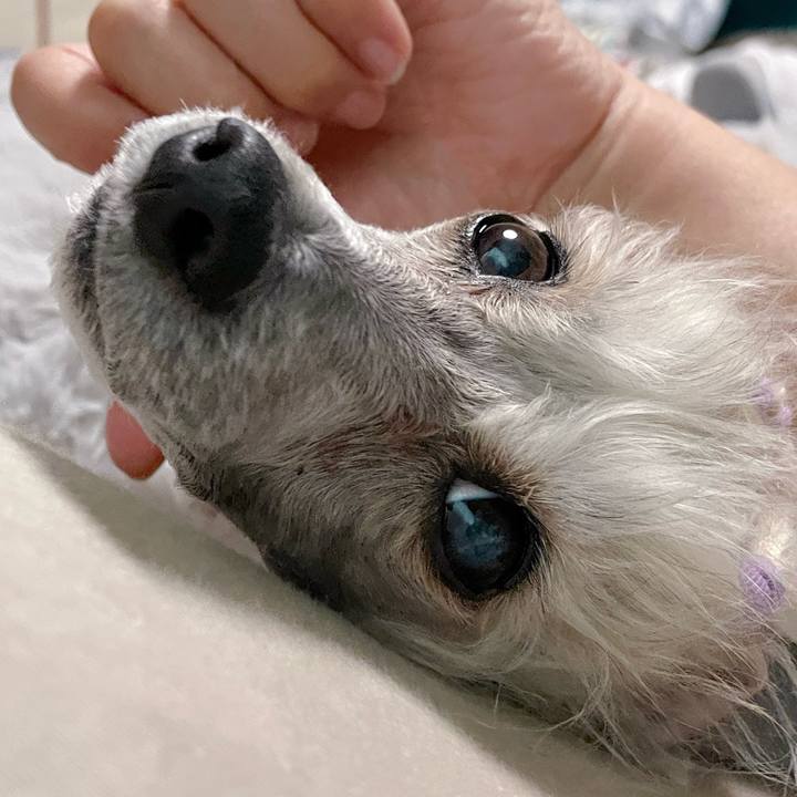 F2961925 0f29 42f1 b695 9afe14f2ed32 1763185083873