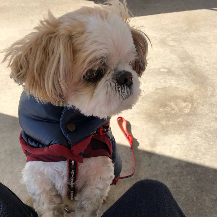 F296204e 89da 49b8 b624 8ed3d54762cf 1546387624632