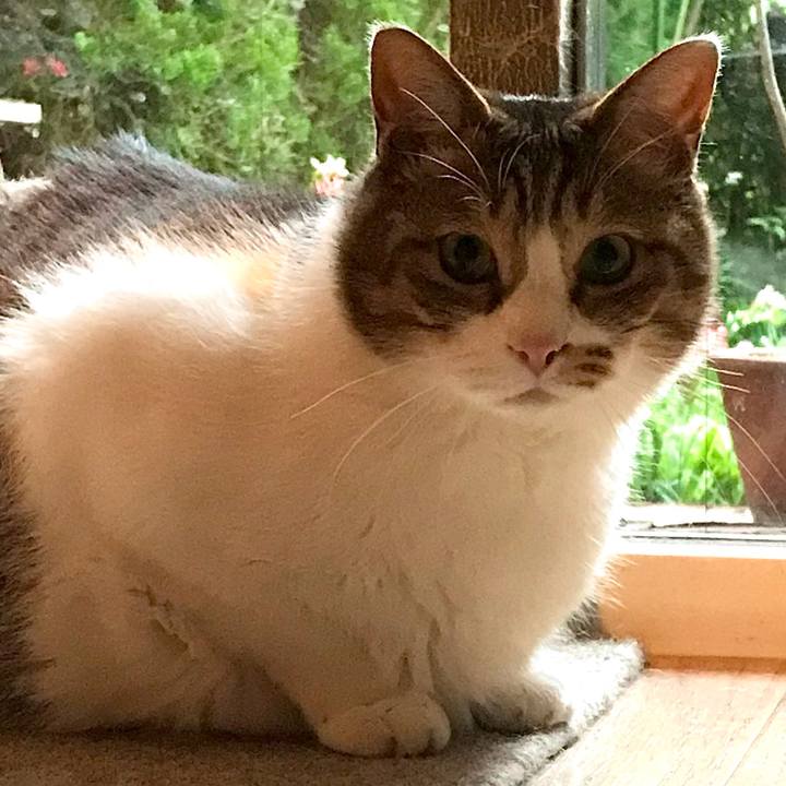 F2965d4e 3e38 4f69 a3aa 73292566c8f8 1620205277017