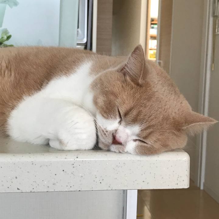 F296737f 6ddd 456f a613 0f2787ffd5c3 1532653564090